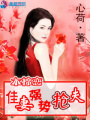木棉戀：佳妻強勢搶夫