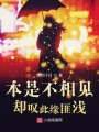 本是不相見，卻嘆此緣匪淺