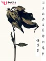 羽多拾遺之死神的情書