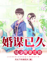 婚謀已久：陸少寵妻成癮