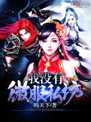我沒有微服私訪