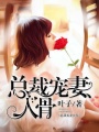 總裁寵妻入骨