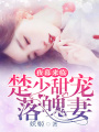 夜幕來臨：楚少甜寵落魄妻