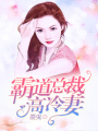 霸道總裁高冷妻