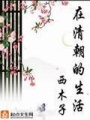 在清朝的生活 第一冊