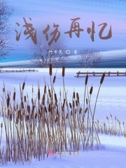 淺傷再憶