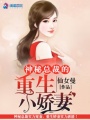 神秘總裁的重生小嬌妻