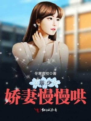 辰少，嬌妻慢慢哄