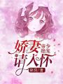 帝少絕寵：嬌妻請入懷