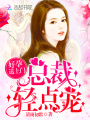 好孕送上門：總裁，輕點寵