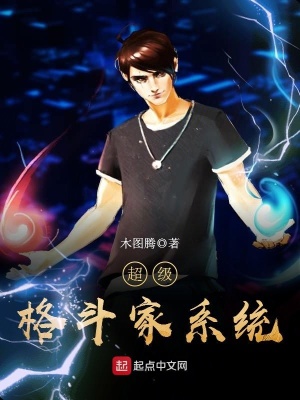 超級(jí)格斗家系統(tǒng)