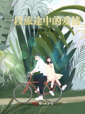 一段旅途中的愛情