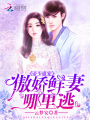 帝少盛寵：傲嬌鮮妻哪里逃