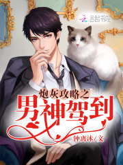 炮灰攻略之男神駕到