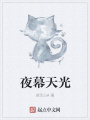 夜幕天光