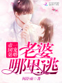 帝國第一寵婚：老婆，哪里逃！