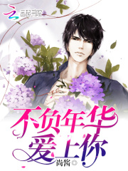 不負年華愛上你