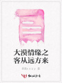 大漠情緣之客從遠(yuǎn)方來