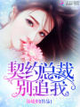 契約總裁，別追我！