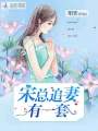 宋總追妻有一套