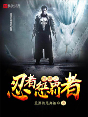 漫威之忍者懲罰者