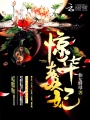 驚華毒妃