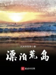 漂泊荒島