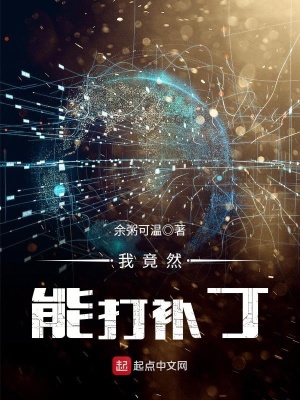 我竟然能打補丁