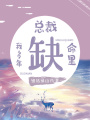 總裁命里缺我多年
