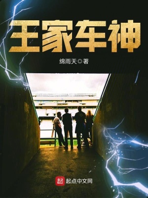 王家車神