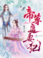 帝尊追妻記