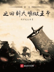 重生之回到大明做王爺