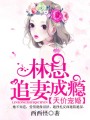 天價(jià)寵婚：林總追妻成癮