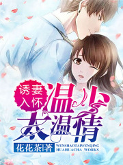 誘妻入懷，溫少太溫情