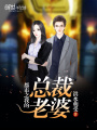 都市之我的總裁老婆