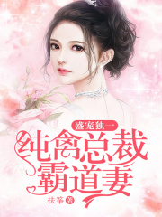 盛寵獨一，純情總裁霸道妻