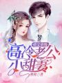 萌寶牽線：高冷老公小甜妻