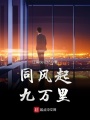 同風(fēng)起，九萬里