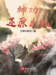 神功還原系統(tǒng)
