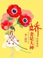 絕版蜜愛：嬌妻是大神