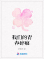 我們的青春碎痕