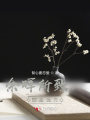 余暉所致，即是遠方