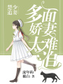 楚少追妻：多面嬌妻太難追