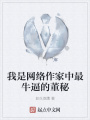 我是網絡作家中最牛逼的董秘