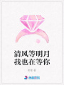 清風等明月我也在等你
