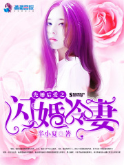 先婚后愛之閃婚冷妻