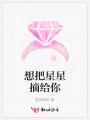 想把星星摘給你