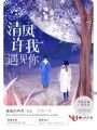 清風許我遇見你