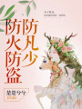 防火防盜防凡少
