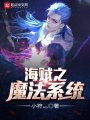 海賊之魔法系統(tǒng)